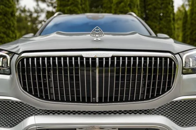 Mercedes-Benz GLS photo 21