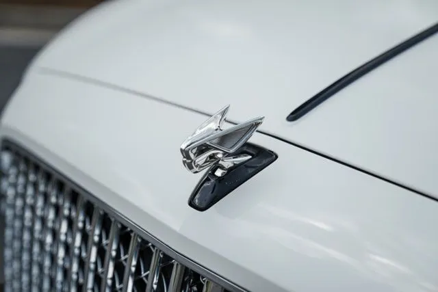 Bentley Flying Spur photo 15