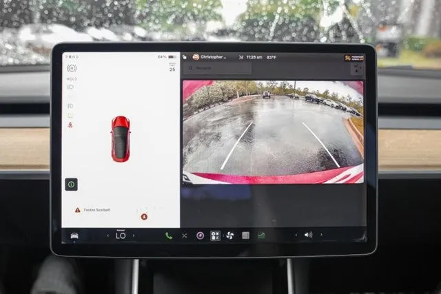 Tesla Model 3 photo 31