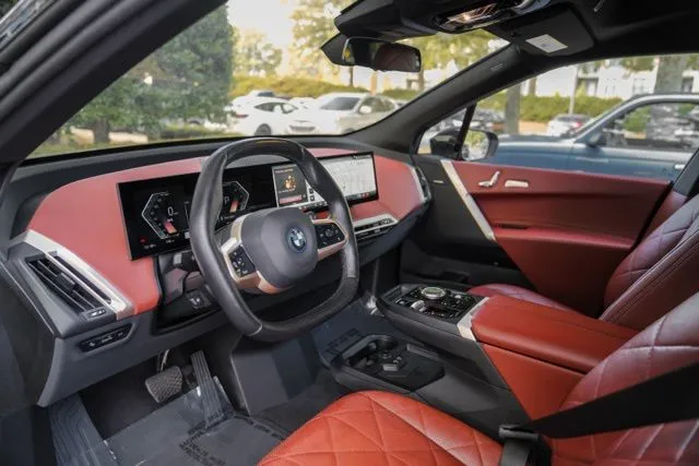 BMW iX photo 20