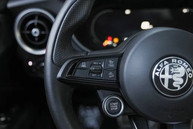 Alfa Romeo Stelvio photo 26