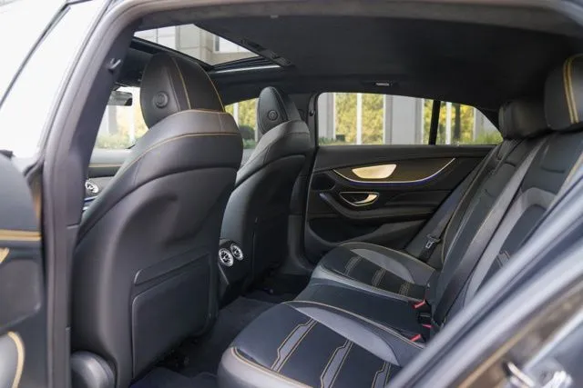 Mercedes-Benz AMG GT 53 photo 40