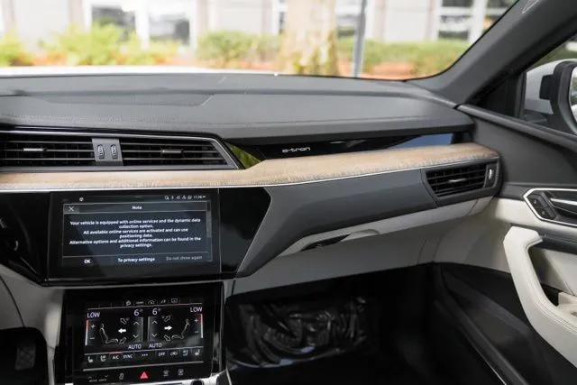 Audi Q8 Sportback e-tron photo 23