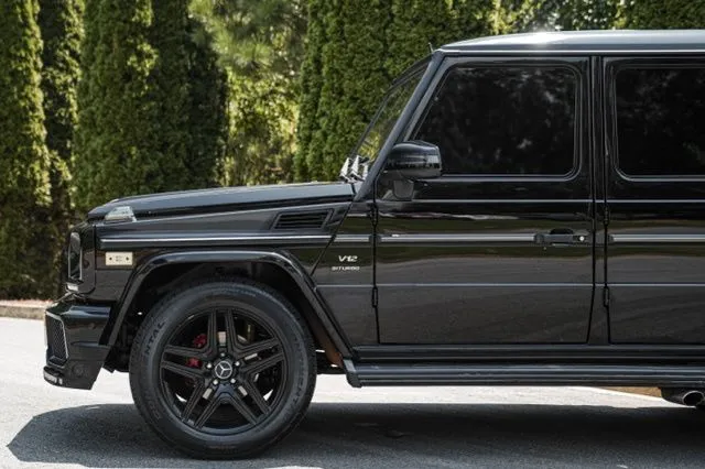 Mercedes-Benz G-Class photo 11