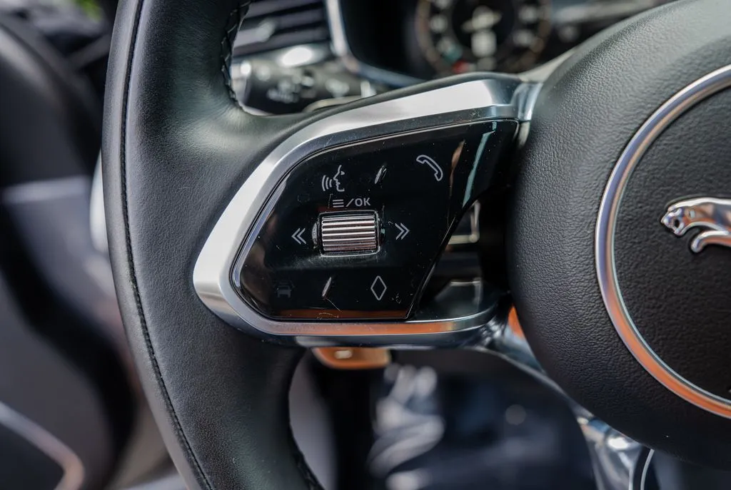 Jaguar F-PACE photo 6