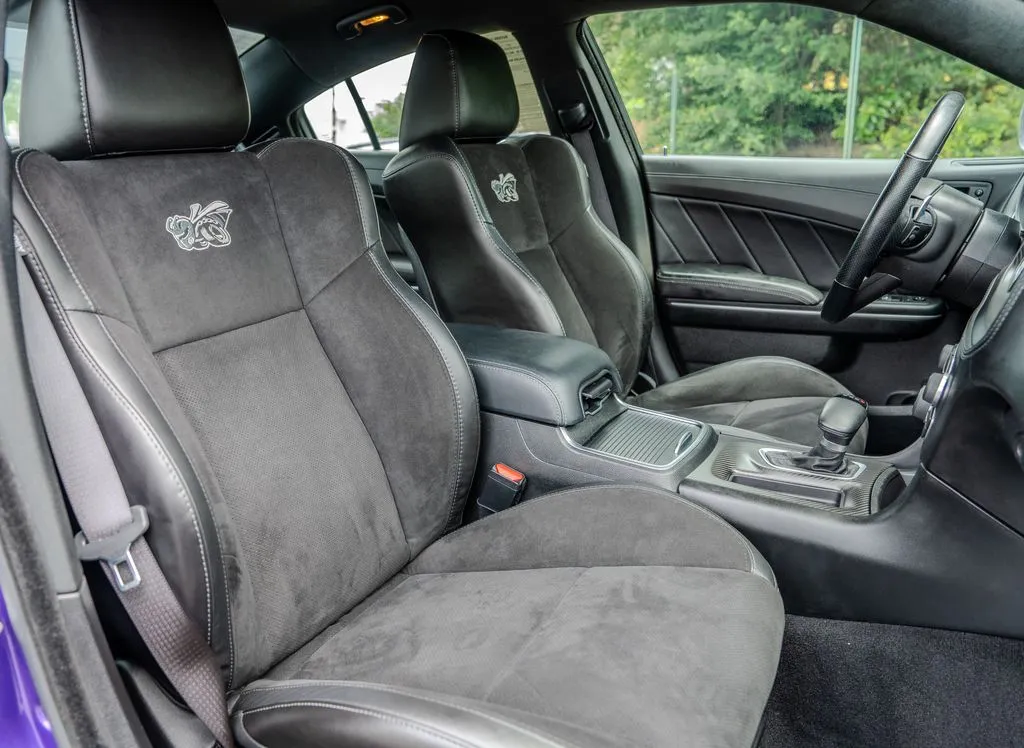 Dodge Charger photo 21