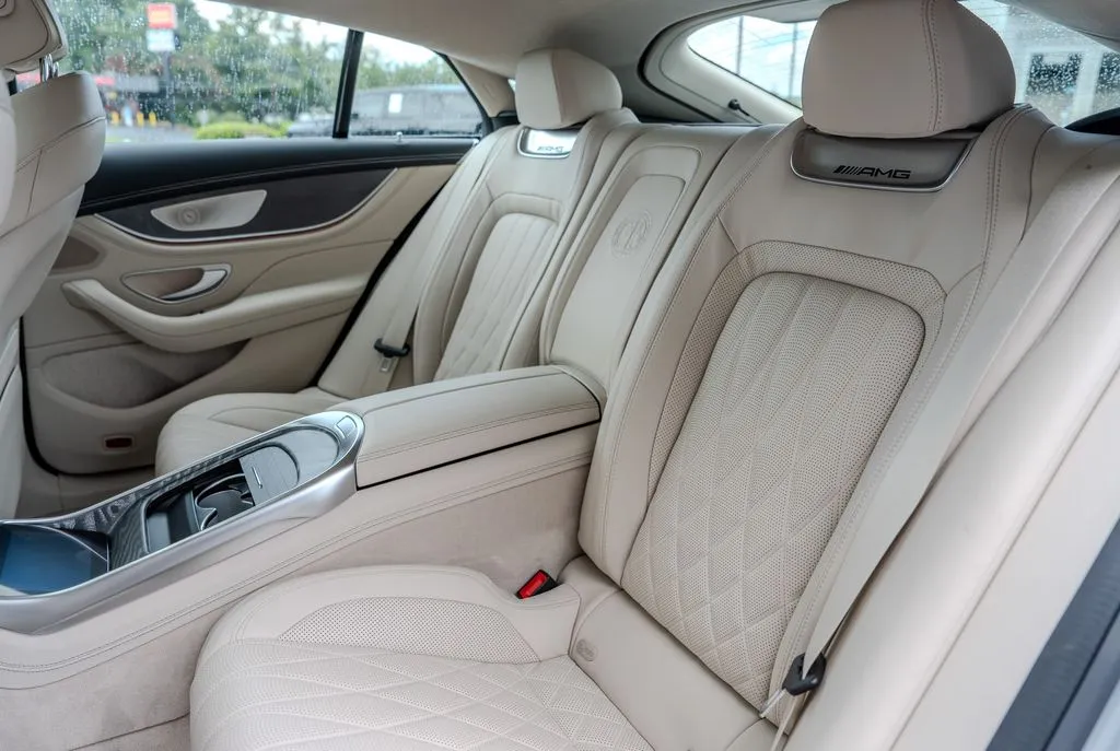 Mercedes-Benz AMG GT 53 photo 19