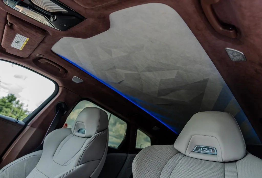 BMW XM photo 19
