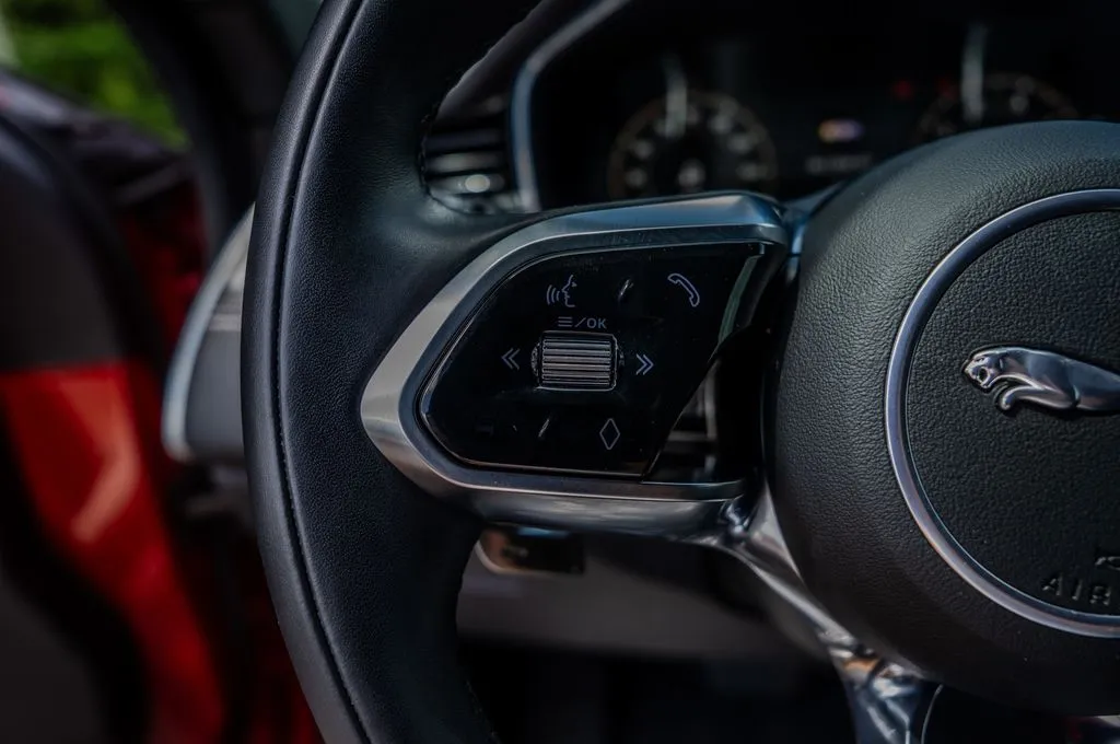 Jaguar F-PACE photo 6