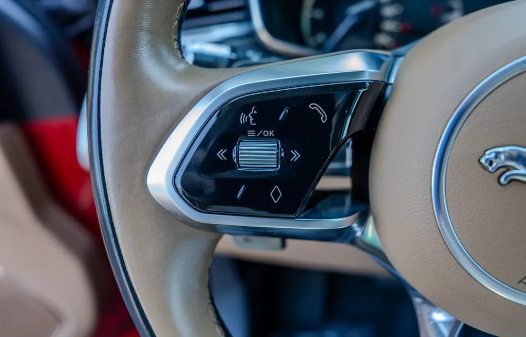 Jaguar F-PACE photo 6