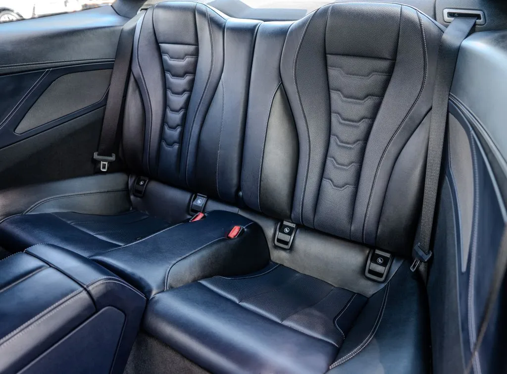 BMW 8 Series photo 20