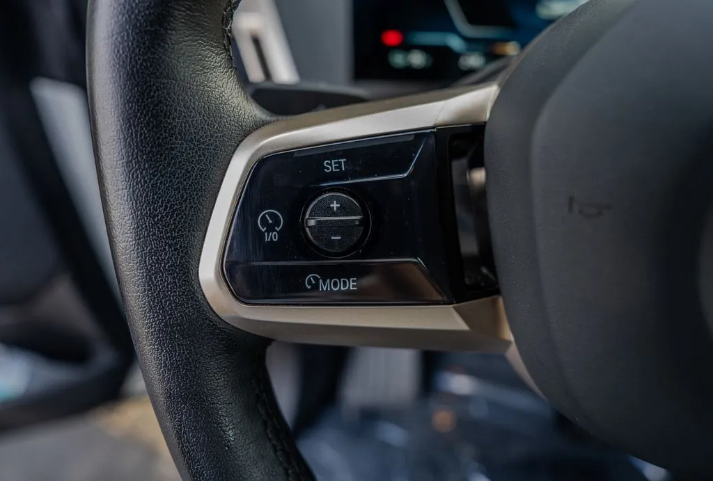 BMW iX photo 6
