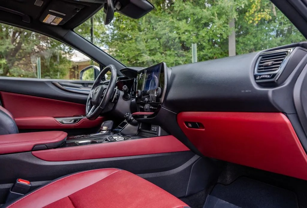 Lexus NX photo 22