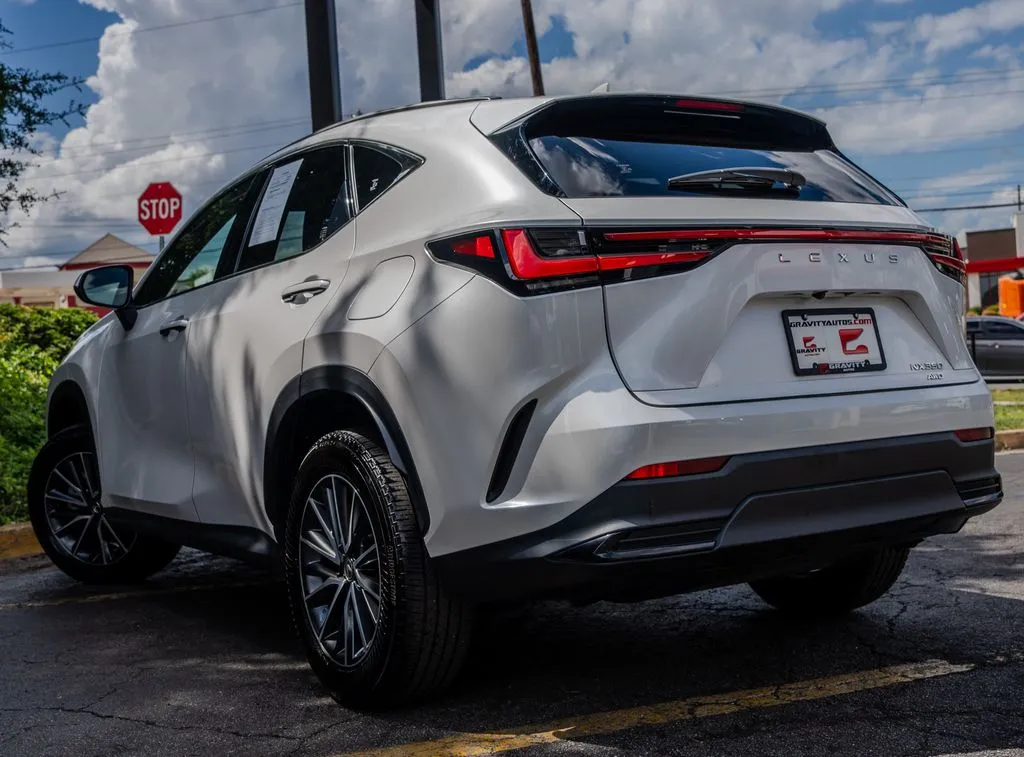 Lexus NX photo 23