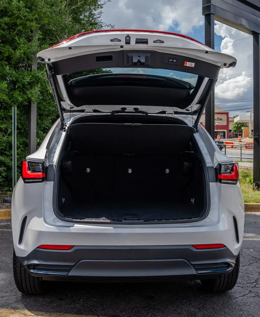 Lexus NX photo 25