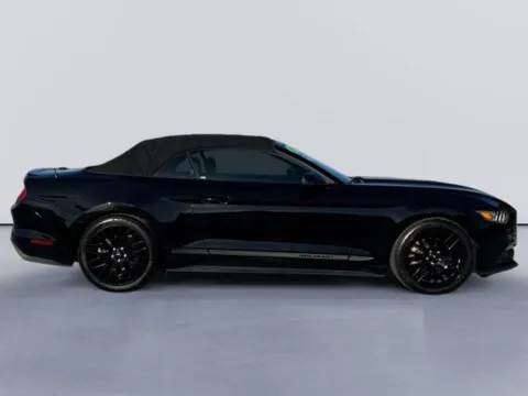 Photos of 2017 Ford Mustang EcoBoost Premium for sale in Morristown, TN at Lakeway Auto Sales