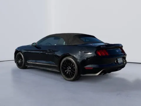 More photos of 2017 Ford Mustang EcoBoost Premium at Lakeway Auto Sales, TN