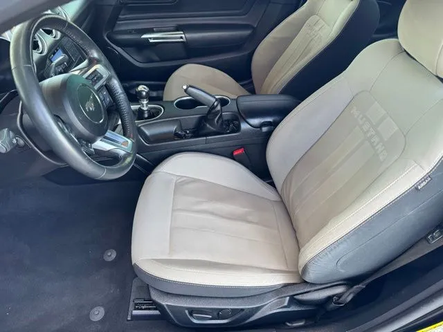 2021 Ford Mustang GT Premium - Photo 14