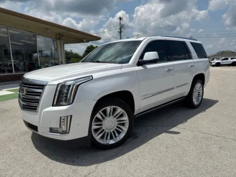 Another view of 2017 Cadillac Escalade Platinum Edition for sale in Morristown, TN at Lakeway Auto Sales