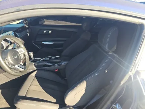 Photos of 2019 Ford Mustang GT for sale in Morristown, TN at Lakeway Auto Sales