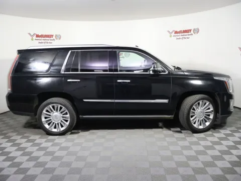 Another view of 2016 Cadillac Escalade Platinum Edition for sale in Colorado Springs, CO at McCloskey Imports & 4x4s (Licensed as McCloskey Isuzu)