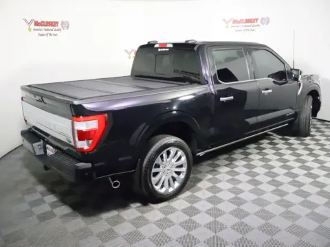 More photos of 2023 Ford F-150 Limited at McCloskey Imports & 4x4s (Licensed as McCloskey Isuzu), CO