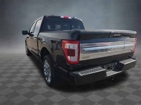More photos of 2023 Ford F-150 Limited at McCloskey Imports & 4x4s (Licensed as McCloskey Isuzu), CO