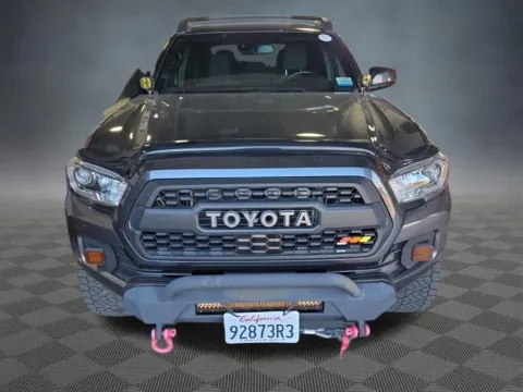 Another view of 2019 Toyota Tacoma TRD Off-Road for sale in Colorado Springs, CO at McCloskey Imports & 4x4s (Licensed as McCloskey Isuzu)