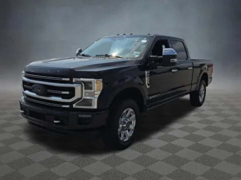 More photos of 2020 Ford F-250SD Platinum at McCloskey Imports & 4x4s (Licensed as McCloskey Isuzu), CO