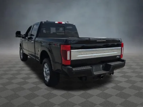 More photos of 2020 Ford F-250SD Platinum at McCloskey Imports & 4x4s (Licensed as McCloskey Isuzu), CO
