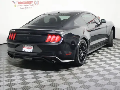 More photos of 2019 Ford Mustang EcoBoost Premium at McCloskey Imports & 4x4s (Licensed as McCloskey Isuzu), CO