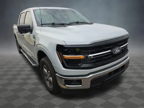 More photos of 2024 Ford F-150 XLT at McCloskey Imports & 4x4s (Licensed as McCloskey Isuzu), CO