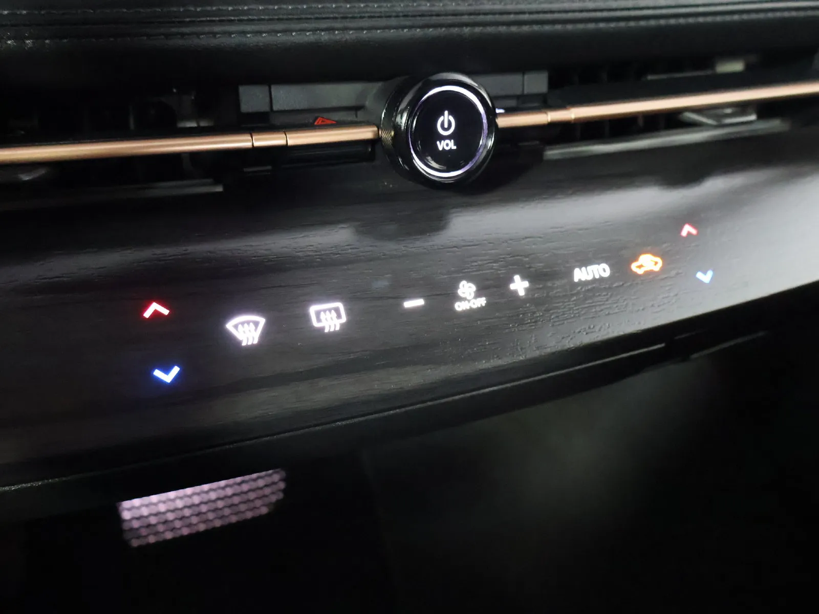 Nissan Ariya photo 37