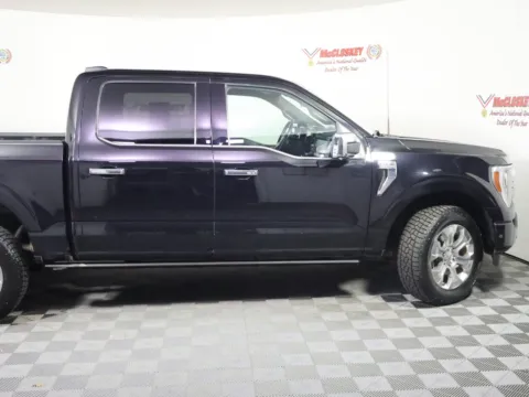 Another view of 2021 Ford F-150 Platinum for sale in Colorado Springs, CO at McCloskey Imports & 4x4s (Licensed as McCloskey Isuzu)