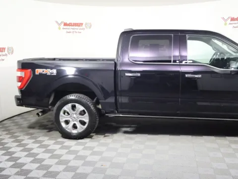 More photos of 2021 Ford F-150 Platinum at McCloskey Imports & 4x4s (Licensed as McCloskey Isuzu), CO