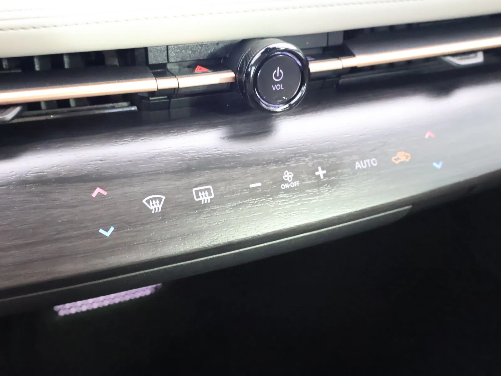 Nissan Ariya photo 30
