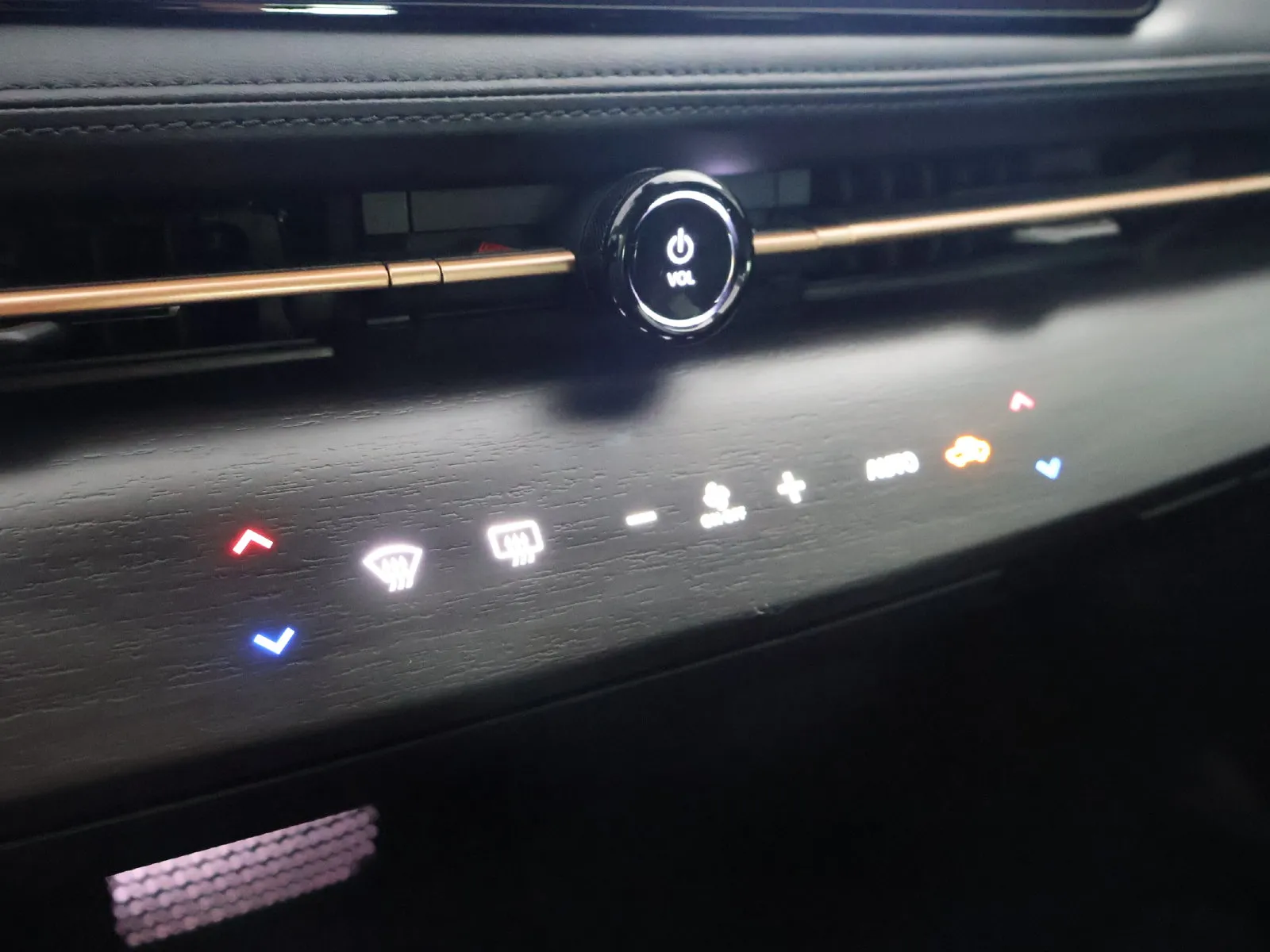 Nissan Ariya photo 39