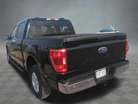 More photos of 2022 Ford F-150 XLT at McCloskey Imports & 4x4s (Licensed as McCloskey Isuzu), CO