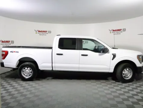More photos of 2023 Ford F-150 XL at McCloskey Imports & 4x4s, CO