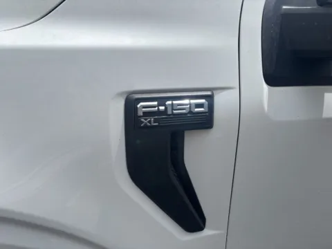 More photos of 2023 Ford F-150 XL at McCloskey Imports & 4x4s, CO