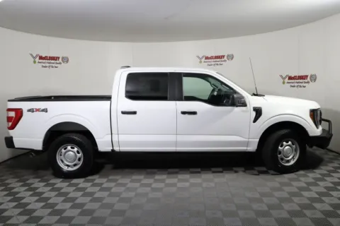 More photos of 2023 Ford F-150 XL at McCloskey Imports & 4x4s, CO