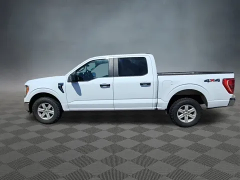 Photos of 2022 Ford F-150 XLT for sale in Colorado Springs, CO at McCloskey Isuzu