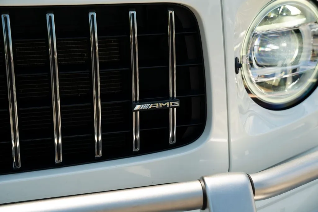 Mercedes-Benz G-Class photo 7