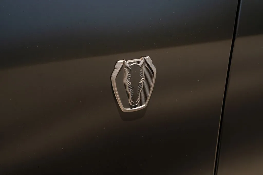 Ford Mustang photo 26