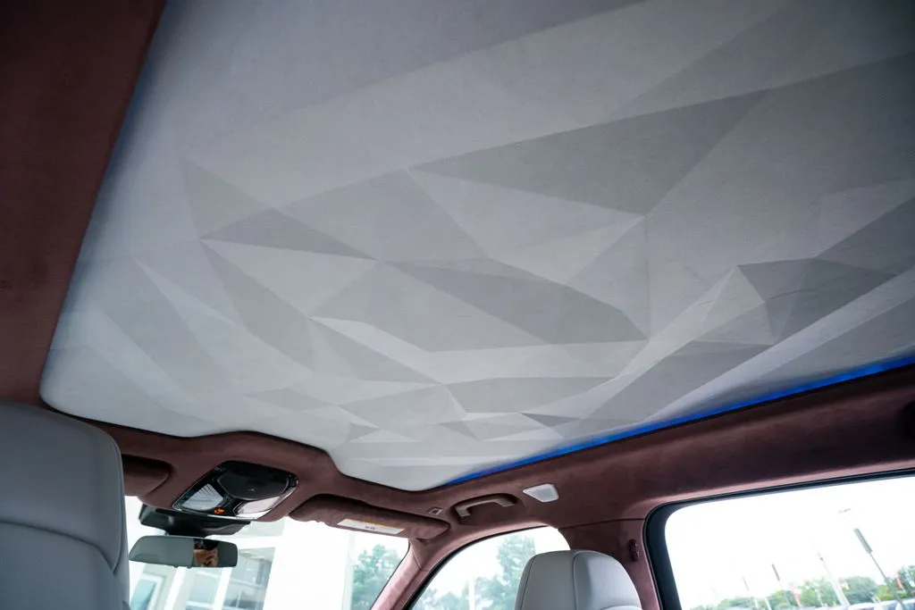 BMW XM photo 54