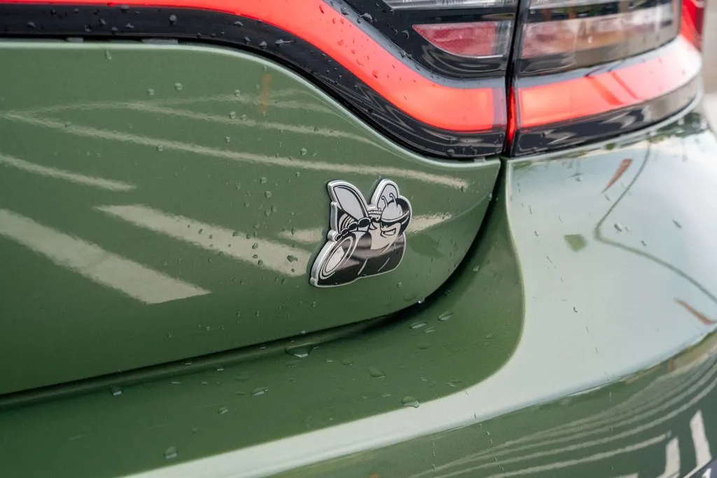 Dodge Charger photo 17