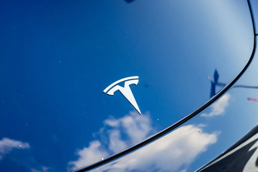 Tesla Model Y photo 6