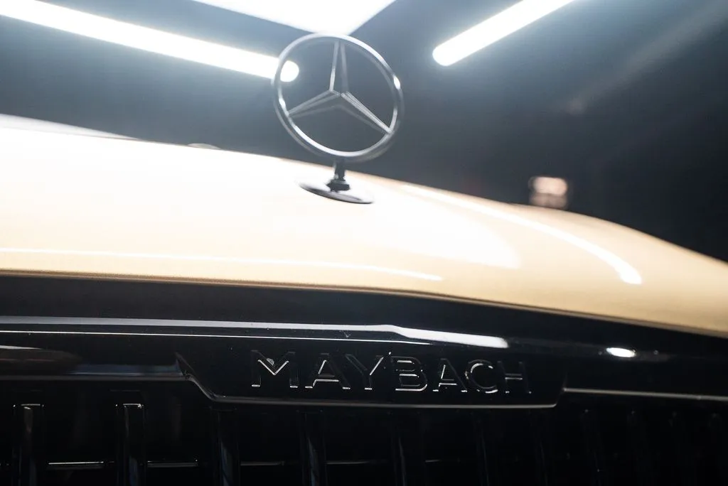 Mercedes-Benz GLS photo 6
