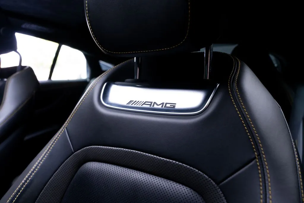 Mercedes-Benz AMG GT 43 photo 33