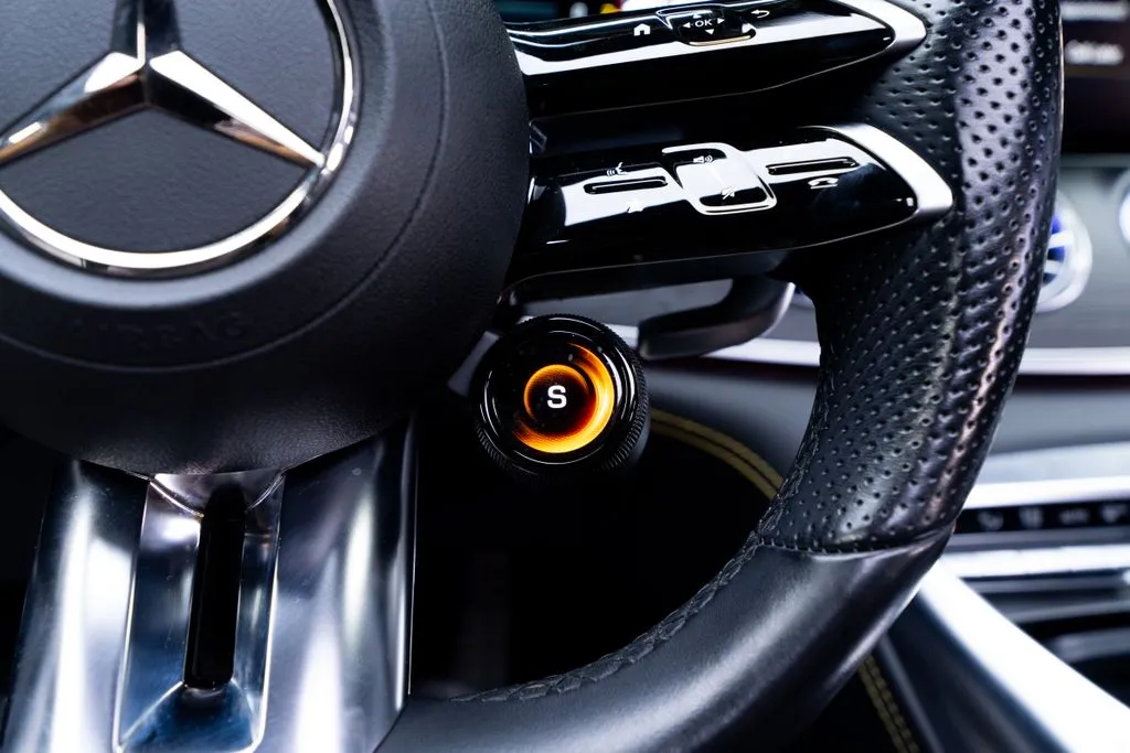 Mercedes-Benz AMG GT 43 photo 37